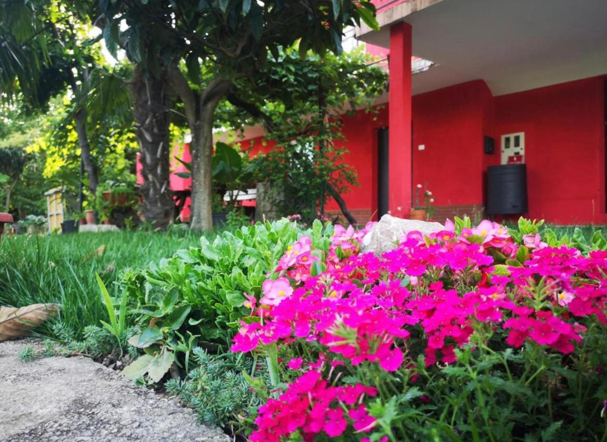 Apartment Franca Portoroz