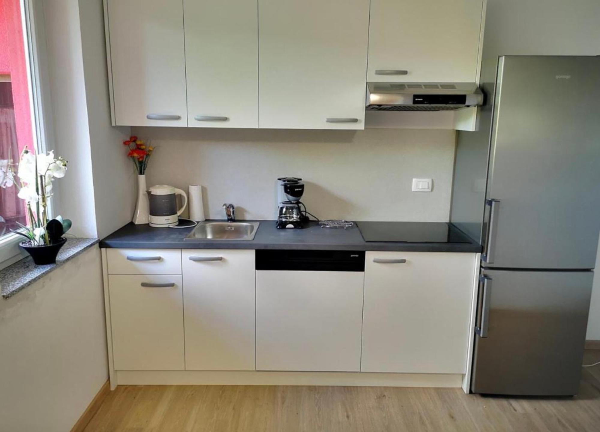 Apartment Franca Portoroz