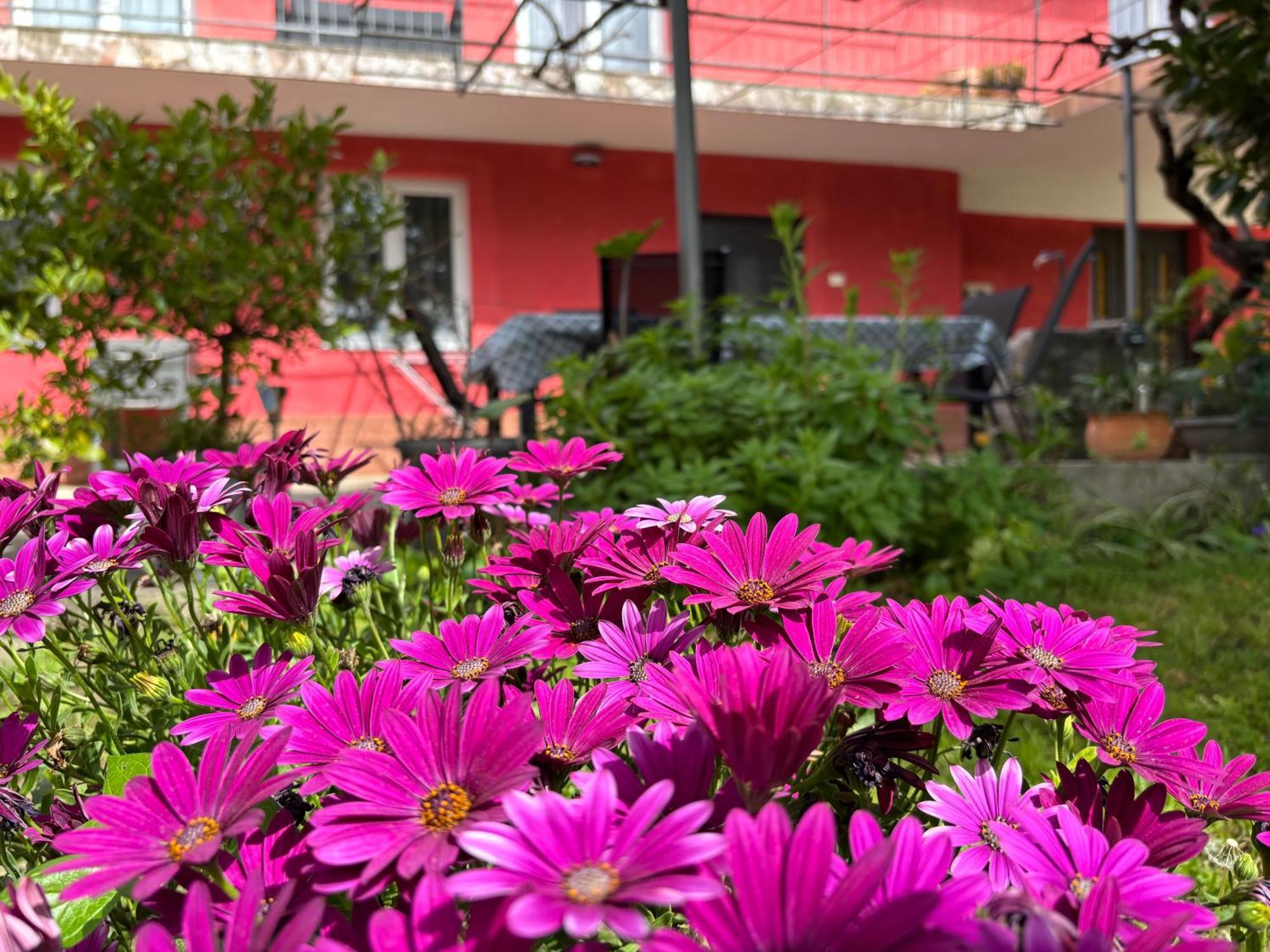 Apartment Franca Portoroz