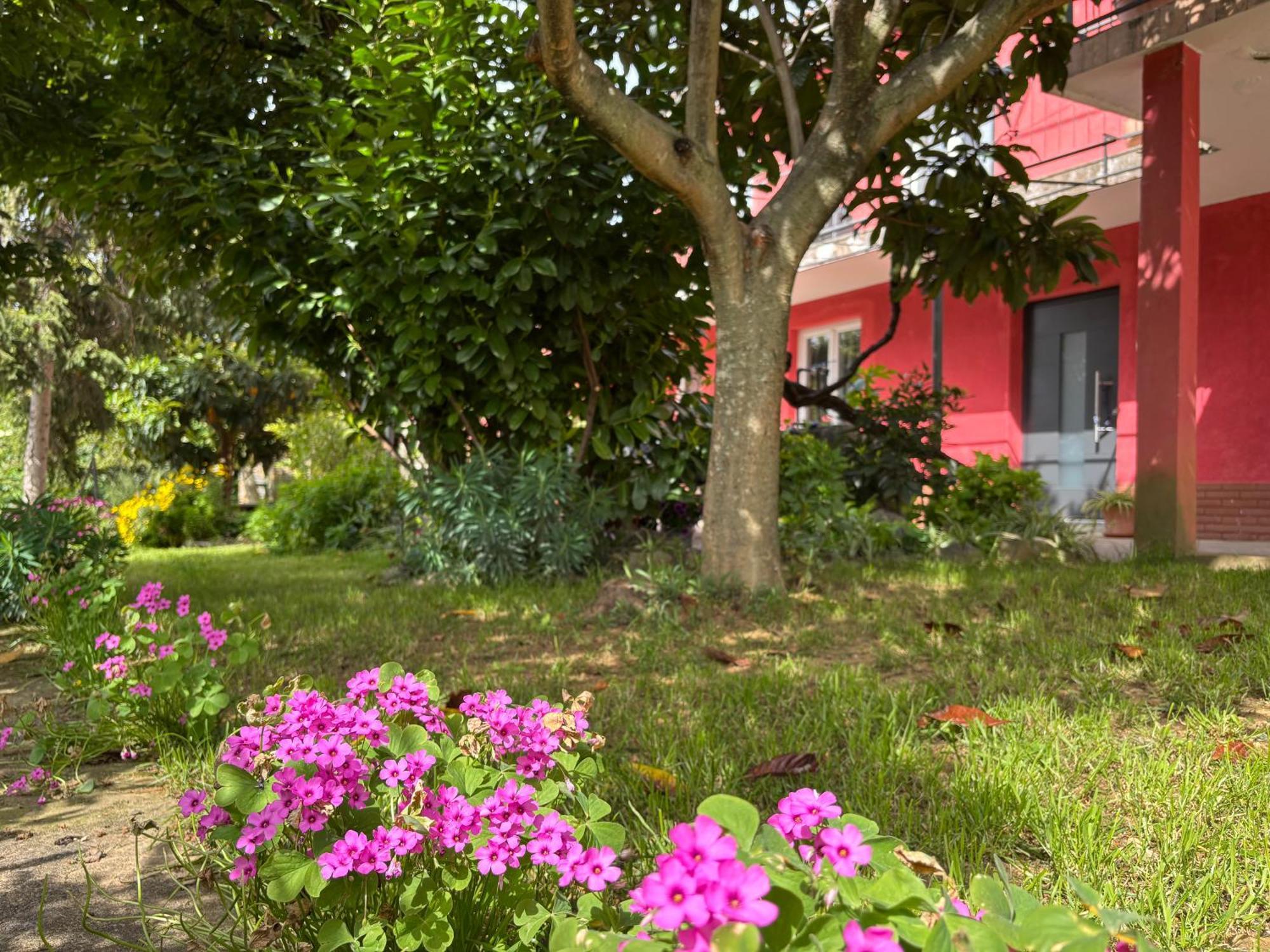 Apartment Franca *