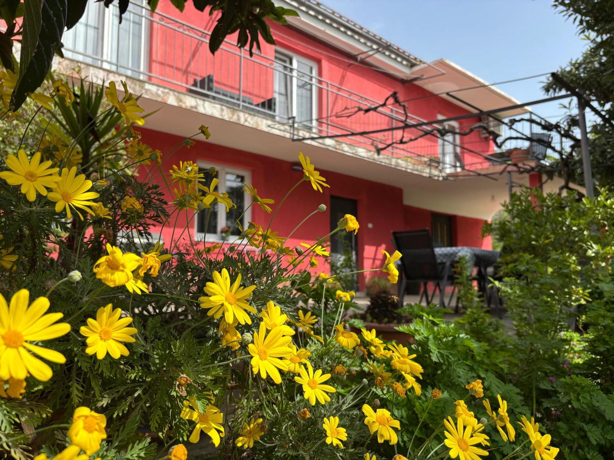 Apartment Franca